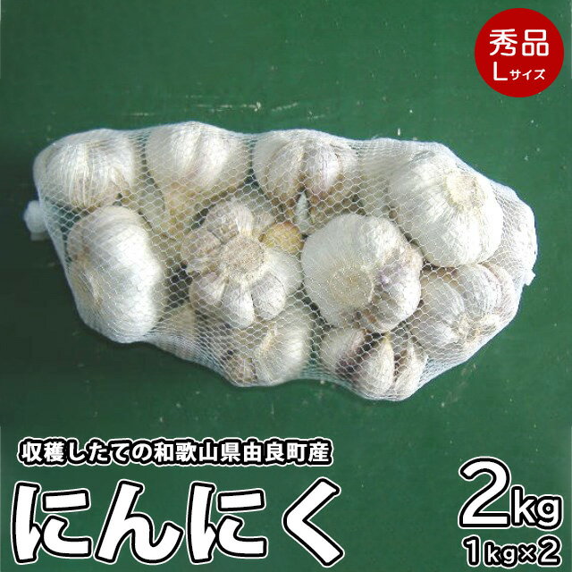 【ふるさと納税】由良町産にんにく 秀品 Lサイズ 約2kg(1kg×2)※北海道・沖縄・離島への配送不可※着日指定不可 ※2024年4月中旬頃より順次発送予定