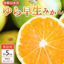 【ふるさと納税】【ご家庭用 極早生】和歌山有田ゆら早生みかん約5kg(SS、Sサイズ)【美浜町】※北海道・沖縄・離島への配送不可※2024年10月中旬～11月中旬頃に順次発送予定