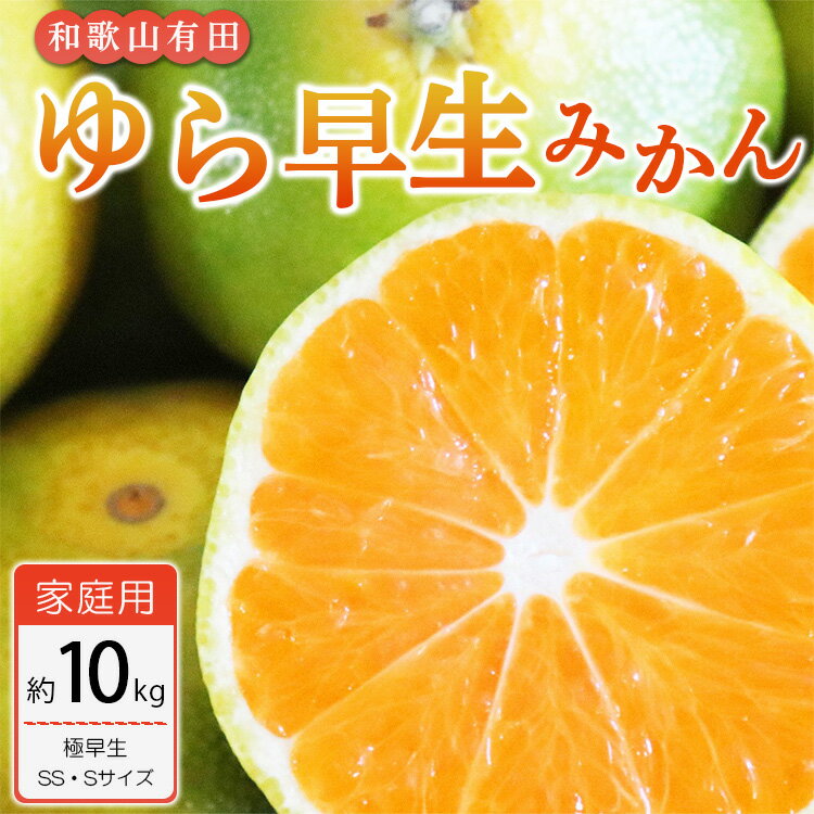 宮川早生の枝変わりの品種。他の極早生品種の中でも糖度が高く濃い味のみかんです。 果汁も多いのでとってもジューシー。 甘いだけでなく酸味もありバランスの取れた美味しいみかんです。 また、じょうのう膜が薄いのでパクパク食べられちゃいます! こちらのお礼品はSSサイズかSサイズのいずれかおまかせ、約10kg入です。 ご家庭用となりますので少しキズなど付いたものが入っています。 【こちらのお礼品は湯浅町と美浜町との共通返礼品となります〔出荷元:太千青果物〕】 平成31年総務省告示第179号第5条第8号イ「市区町村が近隣の他の市区町村と共同で前各号いずれかに該当するものを共通の返礼品等とするもの」に該当する返礼品として、湯浅町と美浜町と合意したものです。 【注意事項】 ※お礼品不備に関する対応は、お礼品到着日から1週間となります。 ※サイズはお選びできません。SSサイズかSサイズのいずれかになります。 ※在庫状況によりSS、Sの混合になる場合があります。 ※その都度収穫されたみかんを発送しているため、みかんの収穫される時期により色味や味の違いなどございます。 ※天候により収穫量が減ったり収穫時期が変わったりすると、発送が遅れる場合があります。 ※生もの(農産物)ですので、新鮮なうちにできるだけお早めにお召し上がりください。 ※到着後は箱から出し、風通しの良い場所で保存してください。そのままですと腐敗の原因となりますのでご注意ください。また気温が高い場合は冷蔵庫の野菜室で保存してください。 ※北海道、沖縄、離島への配送不可 ※ご不在等により発送から4日を超えてお受け取りになった場合、果実に傷みが生じていても返品・交換には応じかねます。 名称 有田ゆら早生みかん 内容量 約10kg(SS、Sサイズ) 産地名 和歌山県有田産 賞味期限 約1週間 保存方法 常温保存、冷蔵どちらでも可 申込期間 ～2024年9月30日 発送時期 2024年10月中旬～11月中旬頃に順次発送予定 提供元 有限会社太千青果物 ・ふるさと納税よくある質問はこちら ・寄付申込みのキャンセル、返礼品の変更・返品はできません。あらかじめご了承ください。【ご家庭用 極早生】和歌山有田ゆら早生みかん約10kg(SS、Sサイズ)【美浜町】