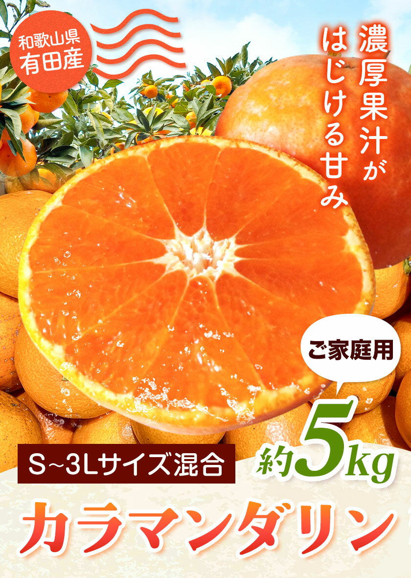 【ふるさと納税】春みかん 和歌山 有田産 カラマンダリン 約5kg (S〜3Lサイズ混合) ご家庭用 厳選館《 4月上旬-5月中旬頃出荷 》和歌山県 日高町 送料無料 柑橘 みかん 蜜柑 訳あり