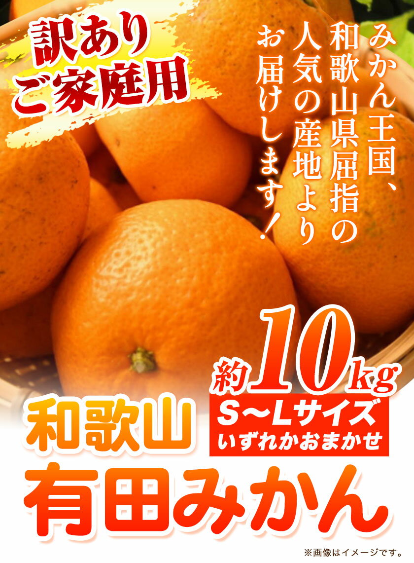 【ふるさと納税】 訳あり みかん 10kg 有田みかん 和歌山県産 S～Lサイズ いずれか 厳選館 《2024年11月中旬-2月上旬頃より出荷予定》 和歌山県 日高町 送料無料 みかん 柑橘 柑橘類 ミカン 訳ありみかん 訳あり