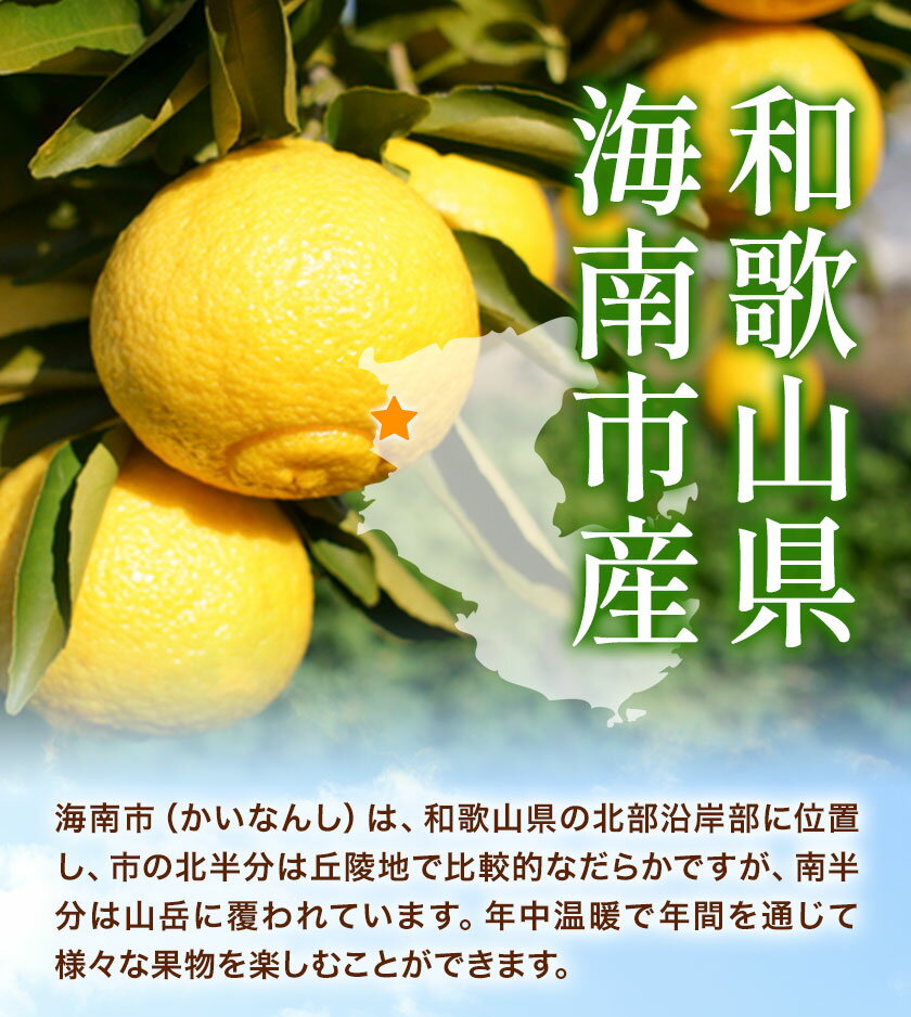 お中元 山梨の桃 4〜5玉 （送料無料） 熨斗 ギフト 贈答 残暑見舞 御礼