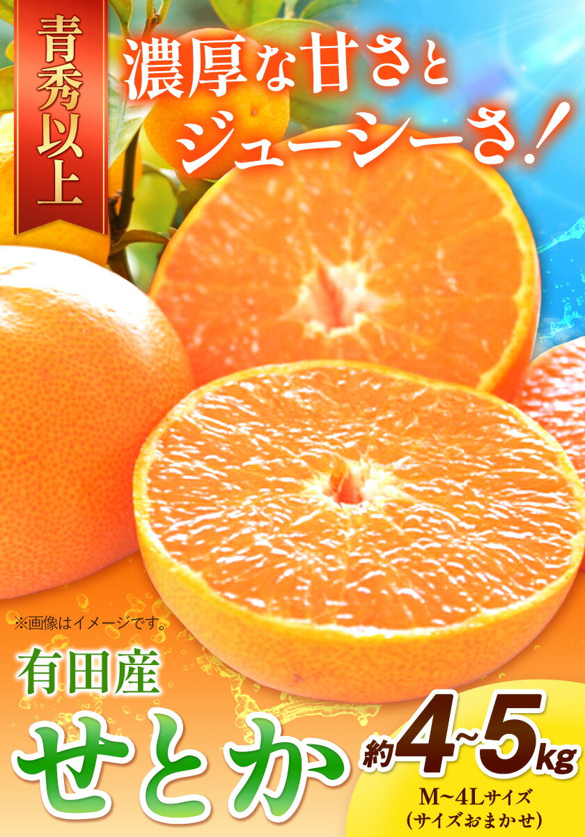 【ふるさと納税】一度は食べていただきたい! 有田産の せとか 青秀以上 約4～5kg （サイズおまかせ） 厳選館 《2025年2月中旬-3月下旬頃出荷》 和歌山県 日高町 せとか 柑橘 有田産