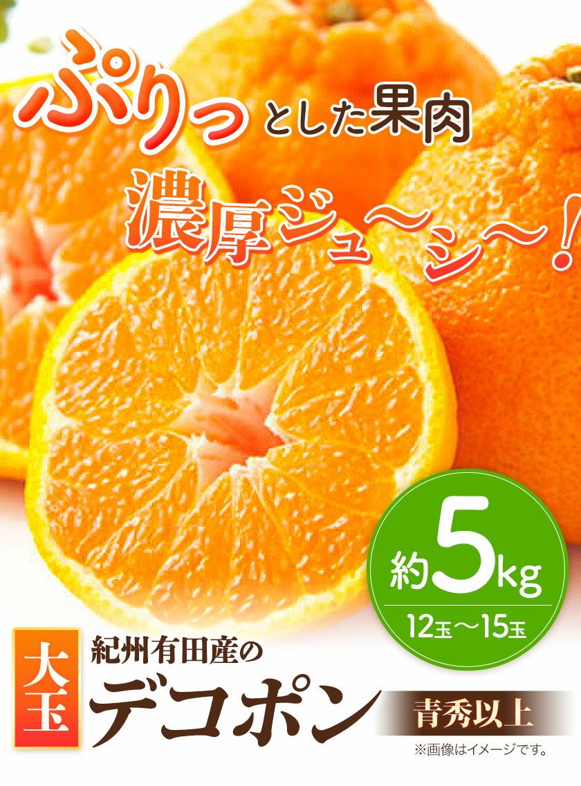 【ふるさと納税】 紀州有田産 デコポン 大玉 約5kg (12玉～15玉入り) 青秀以上 厳選館 《2025年1月中旬-4月上旬頃より出荷予定》 和歌山県 日高町 送料無料 みかん 柑橘 柑橘類 ミカン でこぽん