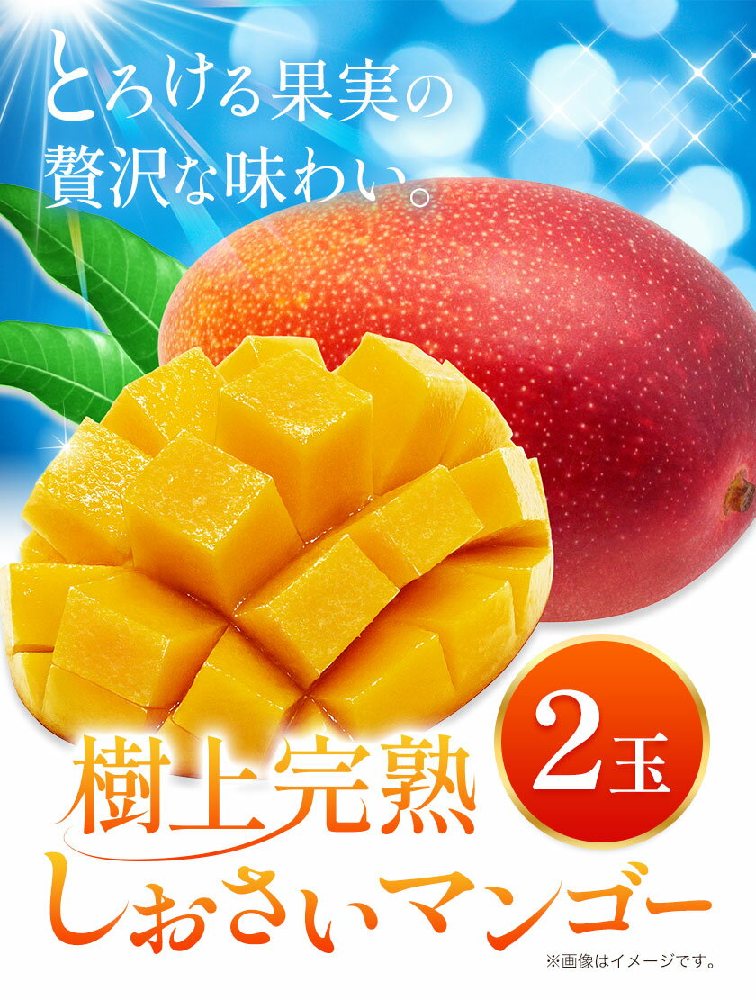 【ふるさと納税】マンゴー 果物 和歌山県産 樹上完熟しおさいマンゴー 2玉 《2026年7月下旬-9月中旬頃出荷》 日高町厳選館 和歌山県 日高町 フルーツ 完熟 送料無料 贈答 プレゼント ご褒美 青果物