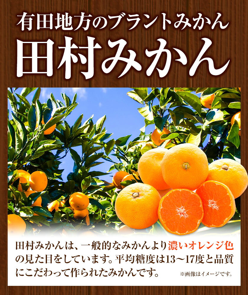 【ふるさと納税】田村みかん の 新鮮 100％ ジュース「至極の一滴」 180ml×15本入り 厳選館 《30日以内に出荷予定(土日祝除く)》 和歌山県 日高町 オレンジジュース みかんジュース フルーツジュース 田村みかん 100%使用 f303828-hidaka-10001326 和歌山県日高町 サンプル画像3