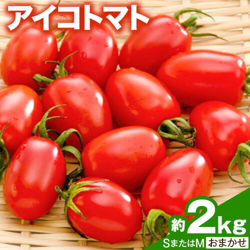 【ふるさと納税】【先行予約】和歌山産 ミニ トマト アイコトマト 約 2kg SまたはMサイズ サイズおまかせ 厳選館 《2026年1月上旬-2月中旬頃出荷》 和歌山県 日高町 トマト とまと アイコトマト 送料無料 【配送不可地域あり】