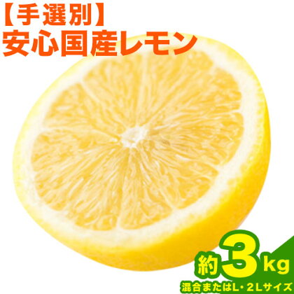 和歌山県産の 安心 国産 レモン 約 3kg (サイズ混合またはL・2Lサイズおまかせ) 厳選館 《12月上旬-2月上旬頃出荷》 和歌山県 日高町 レモン 柑橘 果物 フルーツ 送料無料