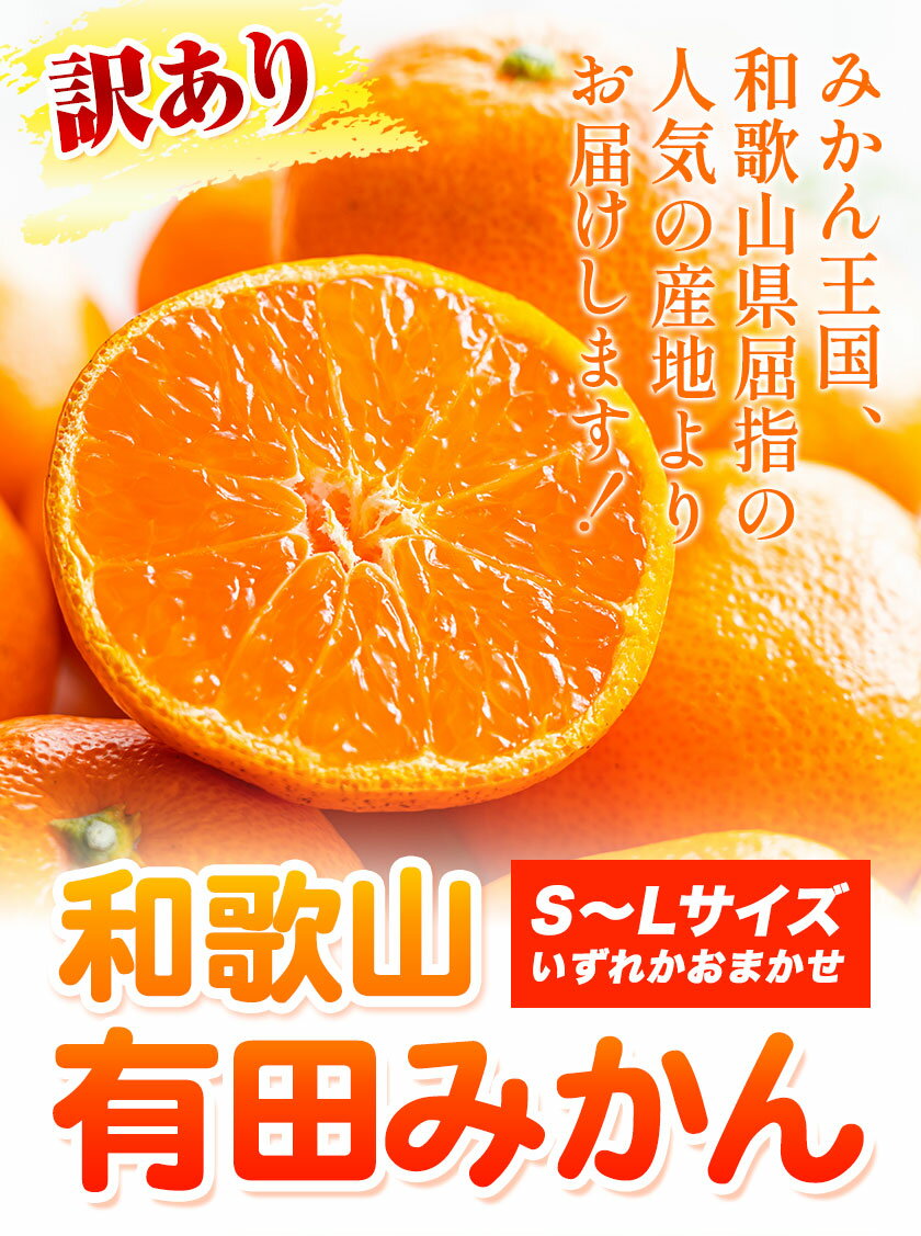 【ふるさと納税】【訳あり】和歌山有田みかん 選べる内容量 約5kg 約10kg S〜Lサイズいずれかお届け 厳選館 《11月中旬-2月上旬出荷》 和歌山県 日高町 みかん 有田みかん 柑橘 フルーツ
