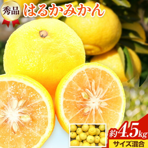 【ふるさと納税】【先行予約】【さわやか柑橘】秀品 和歌山県産 はるかみかん 約4.5kg(サイズ混合) 日高町厳選館 《2026年2月中旬-4月中旬頃出荷》和歌山県 日高町 みかん はるみ 柑橘 フルーツ 果物