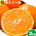 【先行予約】【ふるさと納税】和歌山県 有田産 セミノール 約3kg (サイズ混合 秀品) 厳選館 《4月中旬-5月下旬頃出荷》和歌山県 日高町 柑橘 オレンジ みかん 果物 フルーツ 青果 送料無料