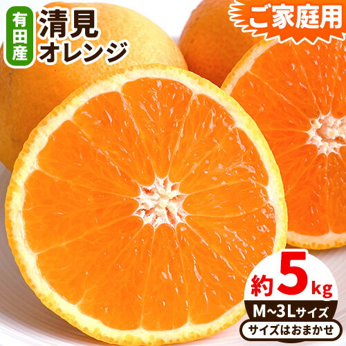 [濃厚]ご家庭用 有田産 清見 オレンジ約 5kg(M〜3Lサイズおまかせ) 日高町厳選館[2026年2月中旬-3月末頃より出荷予定]和歌山県 日高町 柑橘 果物 フルーツ 清見オレンジ