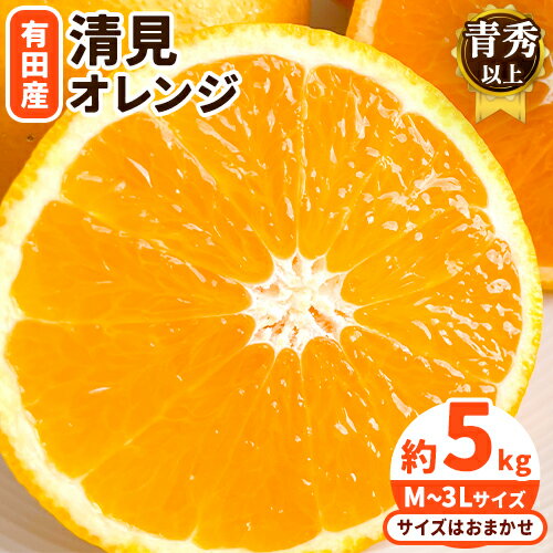 【ふるさと納税】【濃厚】有田産 清見 オレンジ 約 5kg(M〜3Lサイズおまかせ)青秀以上 日高町厳選館《2025年2月中旬-3月末頃より出荷予定》和歌山県 日高町 柑橘 果物 フルーツ 清見オレンジ