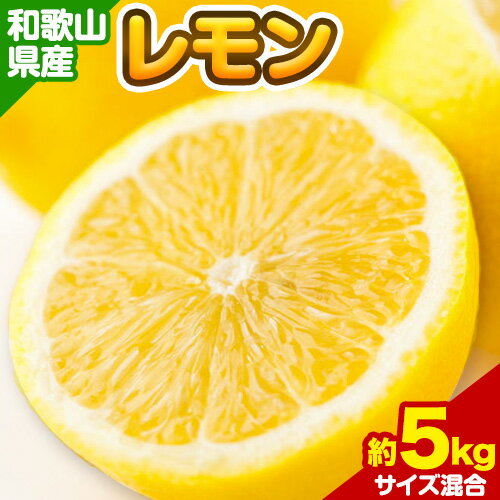 【ふるさと納税】和歌山県産 レモン 約 5kg（サイズ混合） 厳選館《2025年3月中旬-5月中旬頃出荷》和歌山県 日高町 果物 フルーツ 柑橘 レモン れもん 檸檬のサムネイル