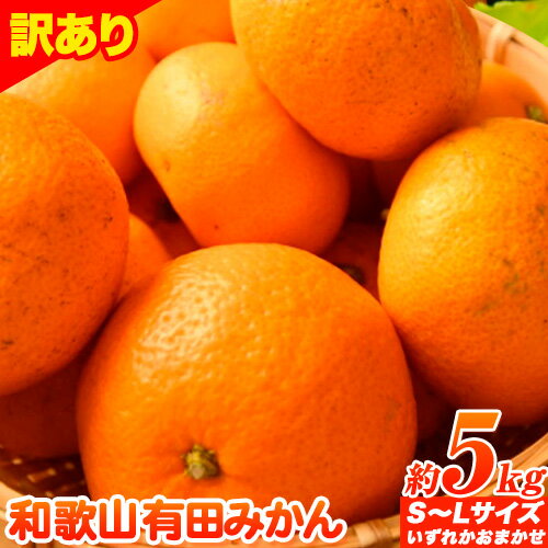 10位! 口コミ数「0件」評価「0」【訳あり・ご家庭用】和歌山有田みかん 5kg（S～Lサイズいずれかお届け） 厳選館 《11月中旬-2月上旬頃出荷予定》 和歌山県 日高町 み･･･ 