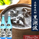 【ふるさと納税】本格米焼酎 黒潮波 (くろしおなみ) 720ml×2本 厳選館《90日以内に出荷予定(土日祝除く)》 和歌山県 日高町 酒 本格米焼酎 焼酎 米...