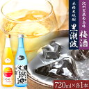 【ふるさと納税】本格米焼酎 黒潮波 (くろしおなみ) と 紀州完熟南高梅 梅酒 720ml×各1本 2本セット 厳選館《90日以内に出荷予定(土日祝除く)》 和...