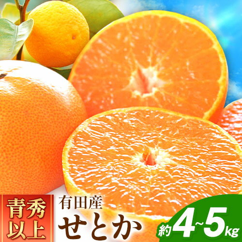 19位! 口コミ数「0件」評価「0」一度は食べていただきたい! 有田産の せとか 青秀以上 約4～5kg （サイズおまかせ） 厳選館 《2025年2月中旬-3月下旬頃出荷》 和･･･ 