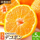 【ふるさと納税】 紀州有田産 デコポン 大玉 約5kg (12~18玉入り) 青秀以上 厳選館 《2026年1月中旬-3月下旬頃より出荷予定》 和歌山県 日高町 送料無料 みかん 柑橘 柑橘類 ミカン でこぽん