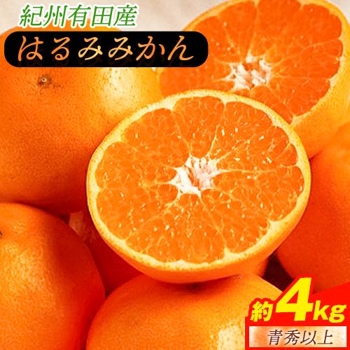 [厳選・濃厚]紀州有田産のはるみ約4kg(サイズおまかせ)[2026年1月下旬-2月中旬頃出荷予定]和歌山県 日高町 みかん はるみ 厳選 柑橘 フルーツ 送料無料
