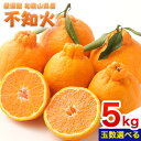 【ふるさと納税】和歌山県産 不知火 約5kg 選べる 厳選館《2月中旬-4月上旬頃出荷》和歌山県 日高町 送料無料 柑橘 柑橘類 でこぽん 不知火 しらぬい デコ デコポン(4)