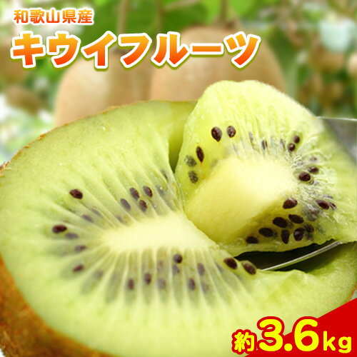 秀品 和歌山の下津で採れた キウイフルーツ 約3.6kg(玉数おまかせ)[2026年1月中旬-3月上旬頃出荷]和歌山県 日高 キウイ キウイフルーツ 秀品
