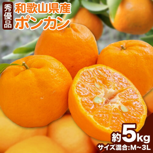 【ふるさと納税】和歌山県産ポンカン 約 5kg 秀優品 (M〜3Lサイズ混合) 厳選館 《2月上旬-3月末頃出荷》和歌山県 日高町 柑橘 ポンカン ぽんかん フルーツ 秀品 優品 【ふるさと納税】和歌山県産ポンカン 約 5kg 秀優品 (M〜3Lサイズ混合) 厳選館 《2月上旬-3月末頃出荷》和歌山県 日高町 柑橘 ポンカン ぽんかん フルーツ 秀品 優品