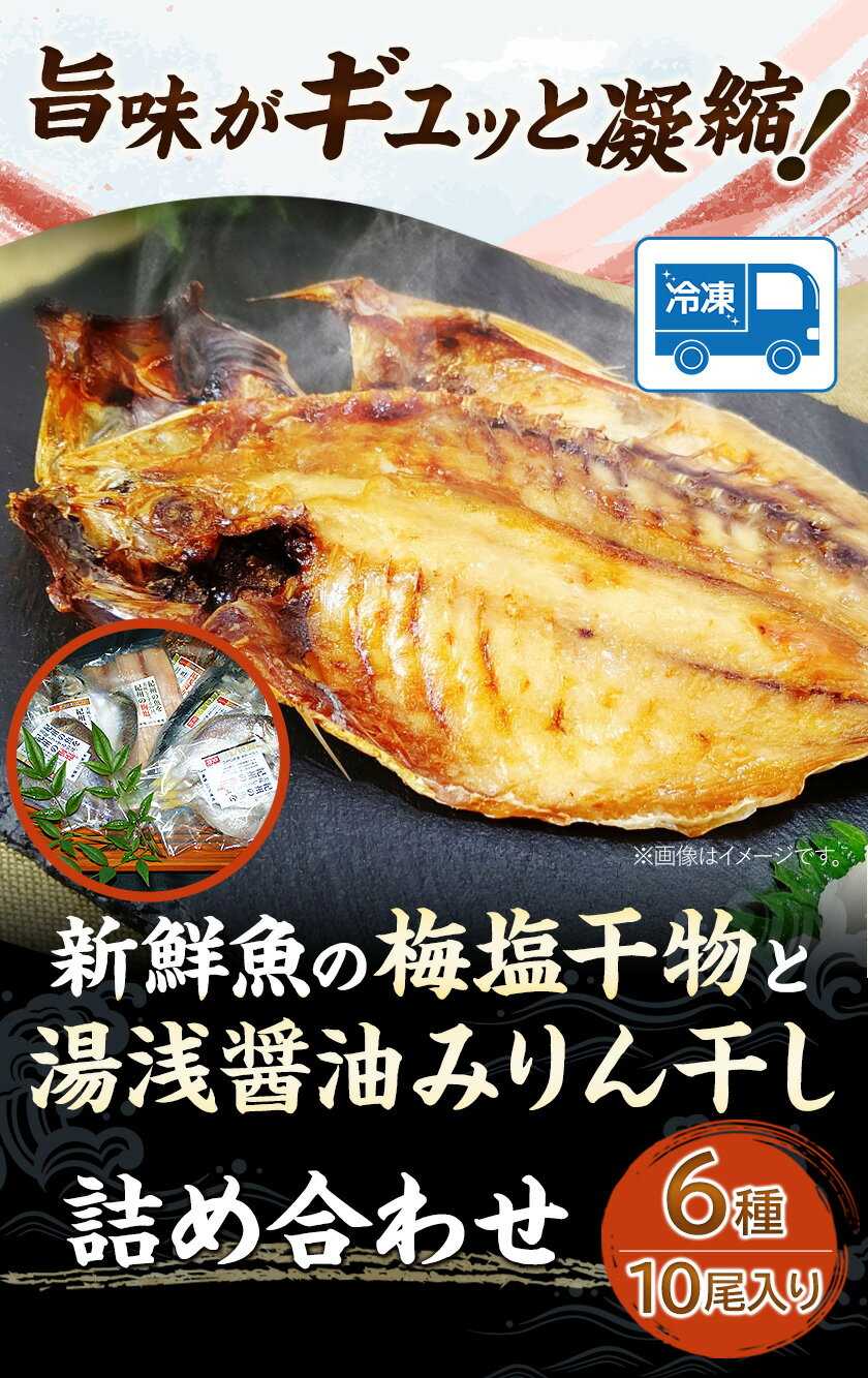 【ふるさと納税】新鮮魚の梅塩干物と湯浅醤油みりん干し 6品種10尾入りの 詰め合わせ (和歌山近海産の新鮮魚使用) 日高町厳選館《90日以内に出荷予定(土日祝除く)》和歌山県 日高町 魚 さかな 干物 6種 10尾 さば 真あじ 太刀魚 いさぎ うおぜ さんま みりん干し 送料無料