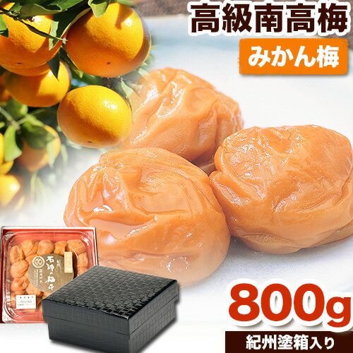 ڤդ뤵Ǽǡ۹ߤߤ 800g ͻž嵪Ȣ ߷ҡ90˽вͽ(˽)²λ Į ...