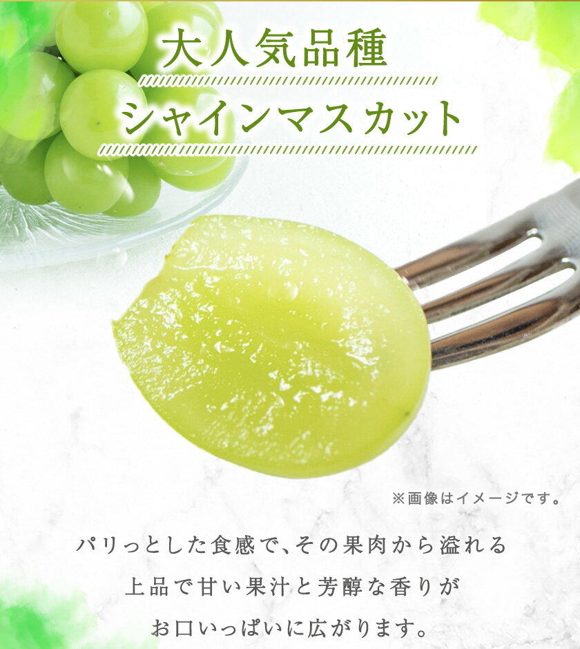 【ふるさと納税】紀州和歌山産 シャインマスカット 2房 魚鶴商店《8月下旬-9月末頃出荷》マスカット 和歌山県 日高町 贈り物 ギフト ぶどう シャインマスカット