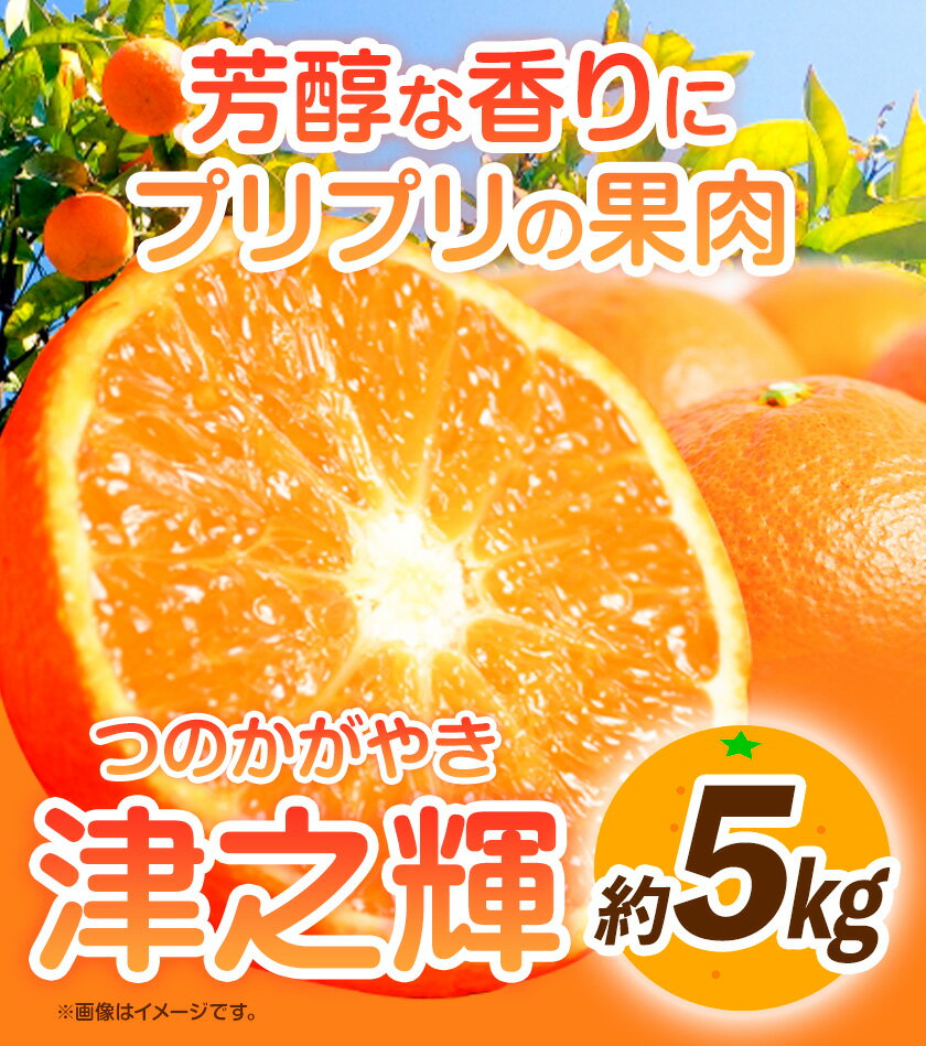 【ふるさと納税】【先行予約】津之輝(つのかがやき) 約5kg 株式会社魚鶴商店《2025年2月上旬-2月末頃出荷予定》 和歌山県 日高町 柑橘 フルーツ