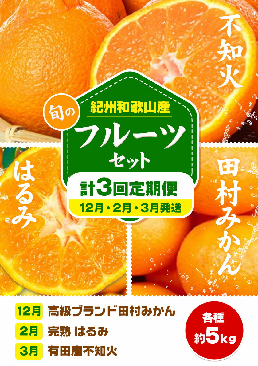 【ふるさと納税】【定期】紀州和歌山産 旬のフルーツセット(田村みかん はるみ 不知火) 約15kg 株式会社魚鶴商店《12月上旬-4月上旬頃出荷》和歌山県 日高町 不知火 はるみ みかん フルーツ