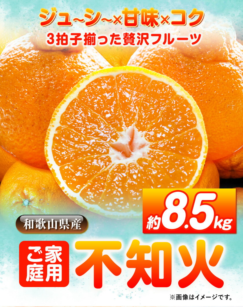 【ふるさと納税】【ご家庭用】紀州有田産 不知火 ( しらぬひ ) 約8.5kg 魚鶴商店 《2月上旬-3月下旬頃出荷》 和歌山県 日高町 不知火 みかん 柑橘 果物 フルーツ デコポン と同品種 でこぽん 訳あり不知火 訳ありデコポン 訳あり 送料無料