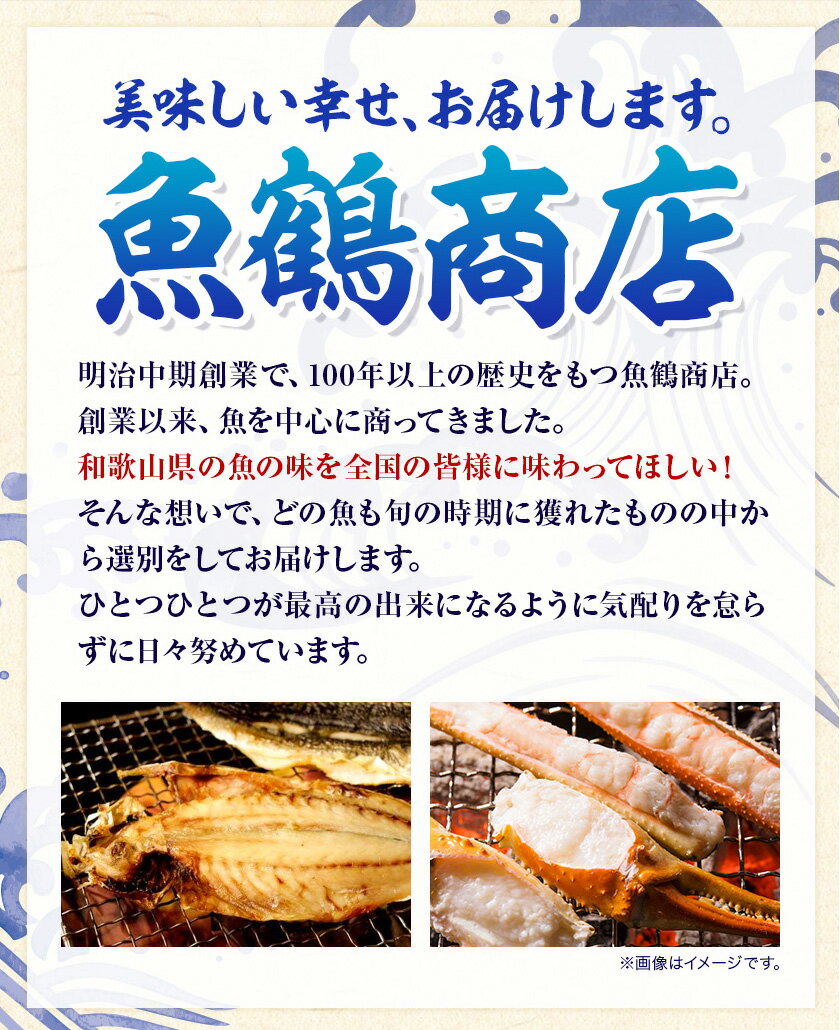 【ふるさと納税】骨取り味付け さばフライ 10切 (カレー風味) 株式会社 魚鶴商店《30日以内に出荷予定(土日祝除く)》 和歌山県 日高町 さば サバ 鯖 揚げ物 フライ 冷凍 骨取り 送料無料