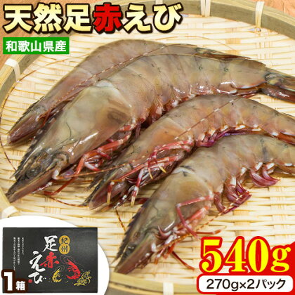 【レビューキャンペーン】紀州和歌山産天然足赤えび 540g(270g×2パック) 化粧箱入 魚鶴商店《11月上旬-2月末頃出荷》和歌山県 日高町 足赤えび えび エビ