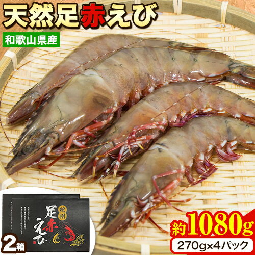 29位! 口コミ数「0件」評価「0」紀州和歌山産天然足赤えび 540g×2箱(270g×4パック) 化粧箱入 魚鶴商店《11月上旬-2月末頃出荷》和歌山県 日高町 足赤えび え･･･ 