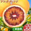 【ふるさと納税】<先行予約>紀州有田産ブラッド オレンジ 選べる 内容量 約 3kg 約 5kg【ご家庭用】 魚鶴商店《2026年3月上旬-3月下旬頃出荷》 和歌山県 日高町 紀州有田産 オレンジ みかん ご家庭用