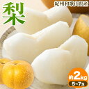 【ふるさと納税】紀州和歌山県産の梨 約2kg 5〜7玉 化粧箱入 魚鶴商店《8月中旬-9月上旬より発送予定(土日祝除く)》和歌山県 日高町 和歌山県産 梨 なし...