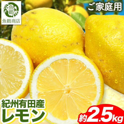 【ふるさと納税】【ご家庭用訳あり】紀州 有田産 レモン 約 2.5kg 魚鶴商店《3月上旬-3中旬頃出荷》和歌山県 日高町 柑橘 レモン れもん フルーツ 檸檬 【ふるさと納税】【ご家庭用訳あり】紀州 有田産 レモン 約 2.5kg 魚鶴商店《3月上旬-3中旬頃出荷》和歌山県 日高町 柑橘 レモン れもん フルーツ 檸檬