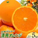 【ふるさと納税】<先行予約>とにかくジューシー 清見 オレンジ 2.5kg 5kg 株式会社魚鶴商店《2026年3月下旬-4月中旬頃より出荷予定》和歌山県 日高町 柑橘 果物 フルーツ 清見オレンジ