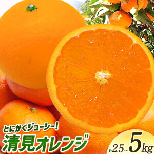 【ふるさと納税】<先行予約>とにかくジューシー 清見 オレンジ 2.5kg 5kg 株式会社魚鶴商店《2026年3月下旬-4月中旬頃より出荷予定》和歌山県 日高町 柑橘 果物 フルーツ 清見オレンジ