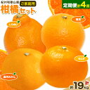 【ふるさと納税】【発送月固定定期便】紀州 和歌山産 旬の ご家庭用 柑橘 セット (みかん 不知火 せとか 清見)【全4回】 計19kg 魚鶴商店《1月上旬-5...