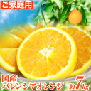 【ふるさと納税】【ご家庭用訳あり】※先行予約※希少な国産バレンシアオレンジ 約7kg 株式会社魚鶴商店《2026年6月下旬-7月上旬出荷》和歌山県 日高町
