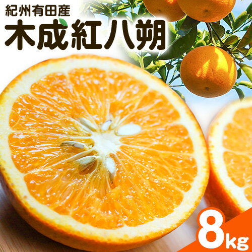 【ふるさと納税】【2026年先行予約】紀州和歌山産 木成紅八朔 8kg 株式会社魚鶴商店(大鶴商店)《2月末-4月上旬頃出荷》和歌山県 日高町 紀州和歌山産 木成紅八朔 はっさく ハッサク 八朔 紅八朔 柑橘 果物 フルーツ 【ふるさと納税】【2026年先行予約】紀州和歌山産 木成紅八朔 8kg 株式会社魚鶴商店(大鶴商店)《2月末-4月上旬頃出荷》和歌山県 日高町 紀州和歌山産 木成紅八朔 はっさく ハッサク 八朔 紅八朔 柑橘 果物 フルーツ