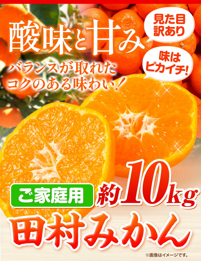 【ふるさと納税】【ご家庭用 訳あり】田村みかん 10kg 株式会社魚鶴商店《2024年11月下旬-2025年2月上旬頃出荷》 和歌山県 日高町 柑橘 フルーツ