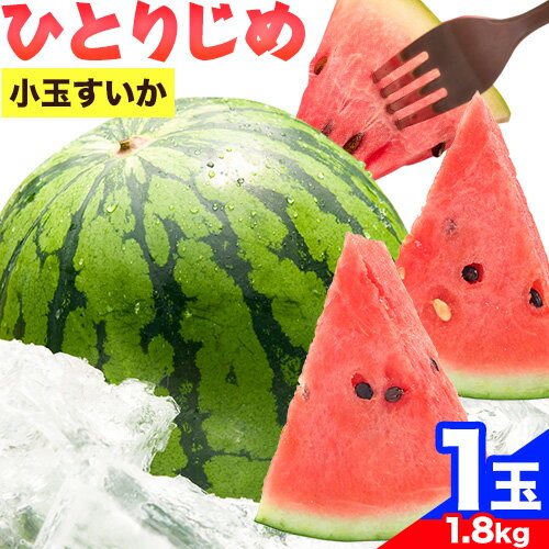 7位! 口コミ数「0件」評価「0」紀州和歌山産 小玉スイカ 「ひとりじめ」 1玉 魚鶴商店《6月上旬-7月下旬頃出荷》 和歌山県 日高町 スイカ スイーツ フルーツ