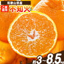 【ふるさと納税】【ご家庭用】紀州有田産 不知火 ( しらぬひ ) 選べる内容量 約3kg 約6kg 約8.5kg 魚鶴商店 《2月中旬-3月中旬頃出荷》 和歌山県 日高町 不知火 柑橘 果物 フルーツ デコポンと同品種 訳あり不知火 訳ありデコポン 訳あり 送料無料(4)