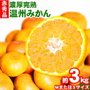 28位! 口コミ数「0件」評価「0」【先行予約】赤秀品　紀州有田産 濃厚完熟温州みかん 3kg(MサイズまたはSサイズ) 魚鶴商店《2024年11月下旬-2025年2月上旬頃出･･･ 