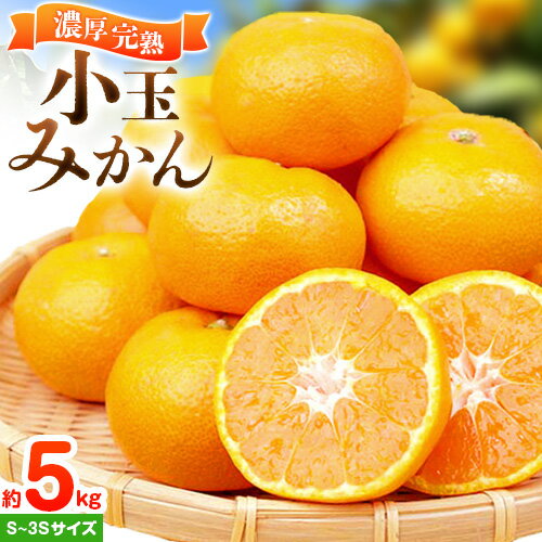 【ふるさと納税】<先行予約>みかん 紀州有田産 濃厚完熟 小玉みかん 約5kg S〜3Sサイズ 魚鶴商店《2025年11月下旬-2026年2月上旬頃より出荷》 和歌山県 日高町 みかん 小玉みかん 完熟 濃厚 柑橘 小玉 小さい 【ふるさと納税】<先行予約>みかん 紀州有田産 濃厚完熟 小玉みかん 約5kg S〜3Sサイズ 魚鶴商店《2025年11月下旬-2026年2月上旬頃より出荷》 和歌山県 日高町 みかん 小玉みかん 完熟 濃厚 柑橘 小玉 小さい