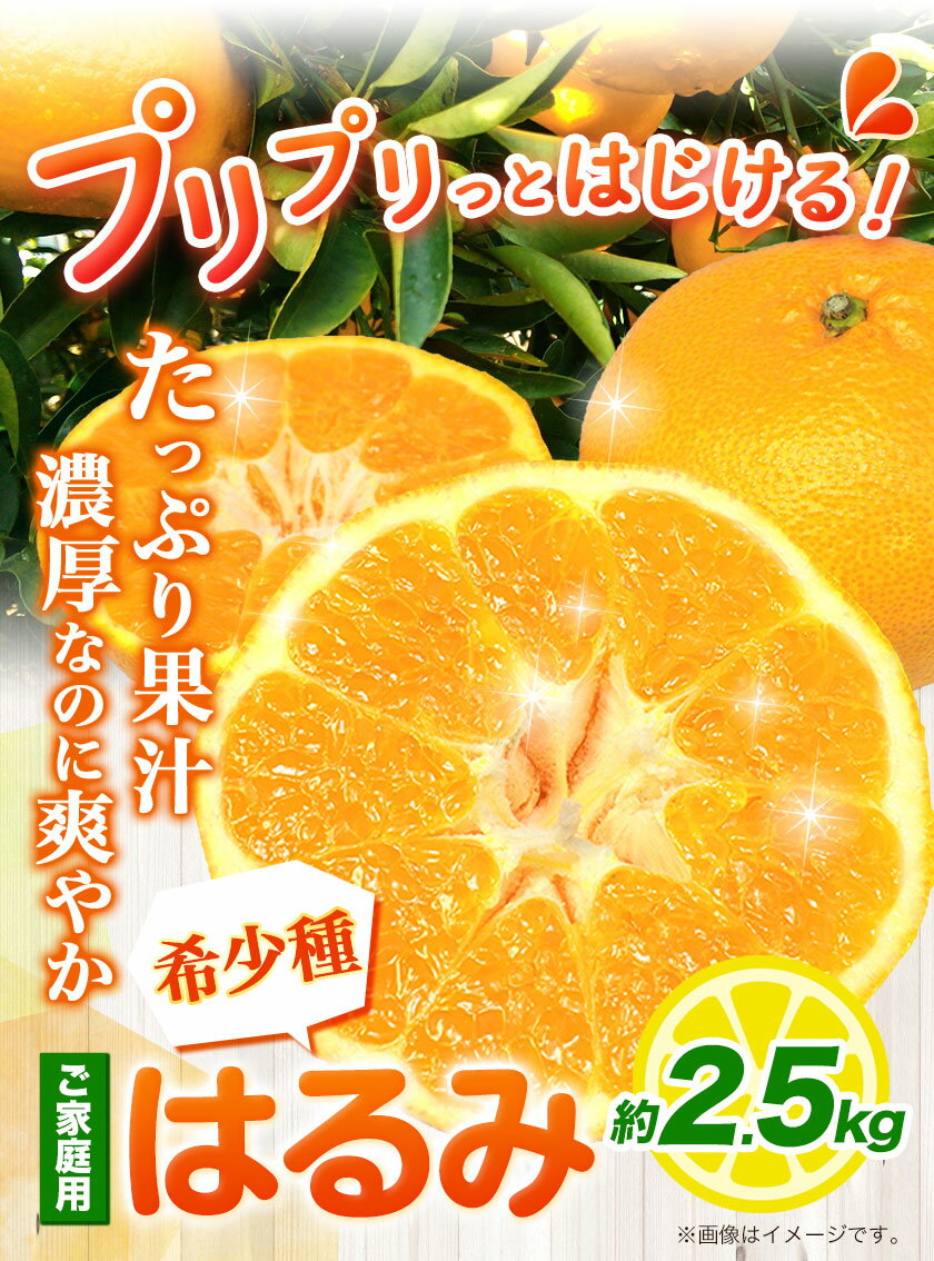 【ふるさと納税】みかん はるみ ご家庭用 2.5kg + 75g サイズ混合（傷み補償分）池田鹿蔵農園@日高町《2024年2月上旬-4月中旬頃出荷》和歌山県 日高町 フルーツ 果物 柑橘 希少品種 送料無料 訳あり